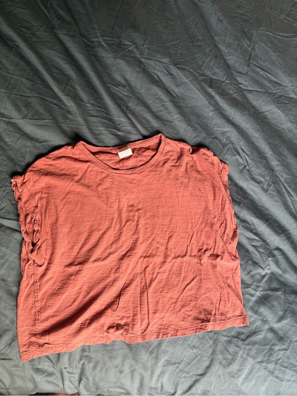 We The Free Short Sleeve Top in Rust